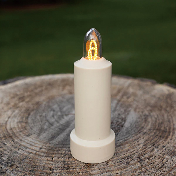 自然大好き！ニッチ・リッチ・キャッチ ベアボーンズリビング