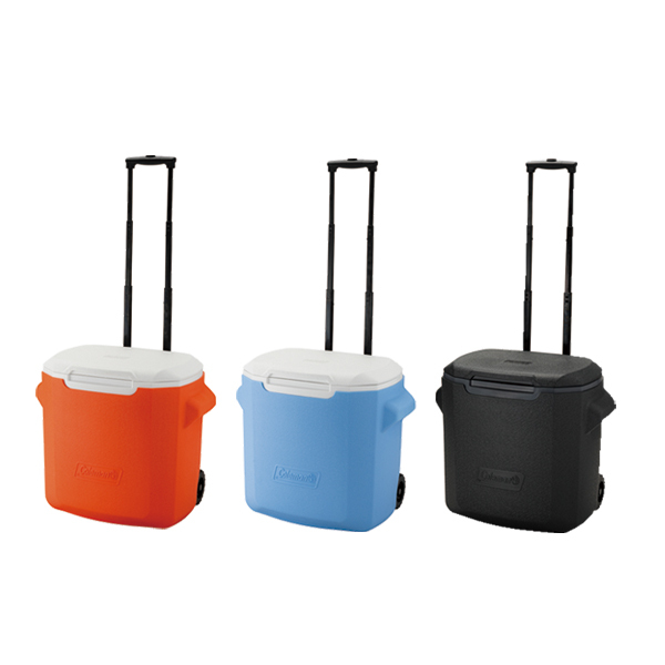 ���J���[�o���G�[�V����