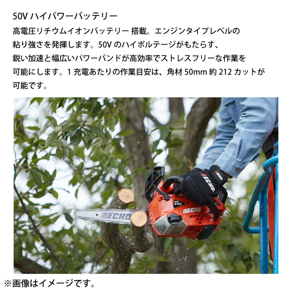 自然大好き！ニッチ・リッチ・キャッチ 充電式（バッテリー式） エコー