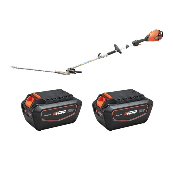 ���J���[�o���G�[�V����