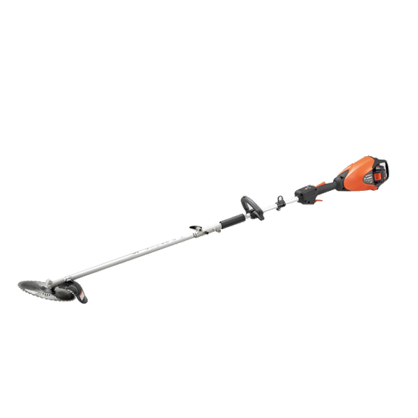 ���J���[�o���G�[�V����