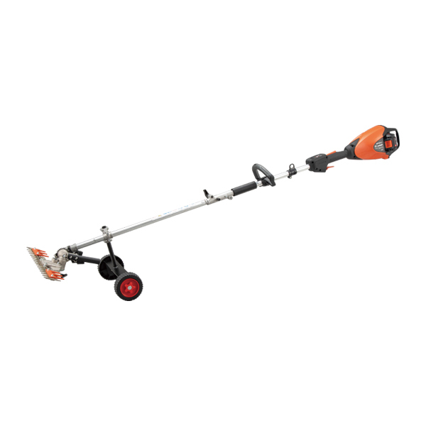 ���J���[�o���G�[�V����