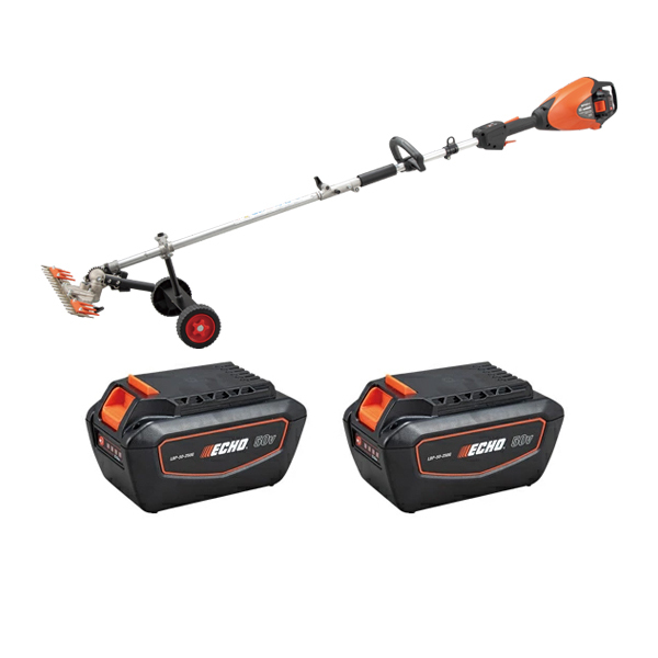 ���J���[�o���G�[�V����