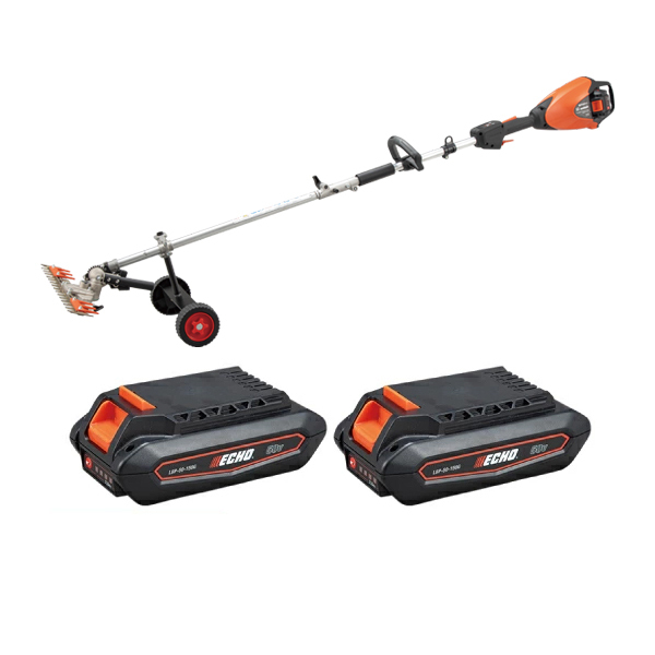 ���J���[�o���G�[�V����