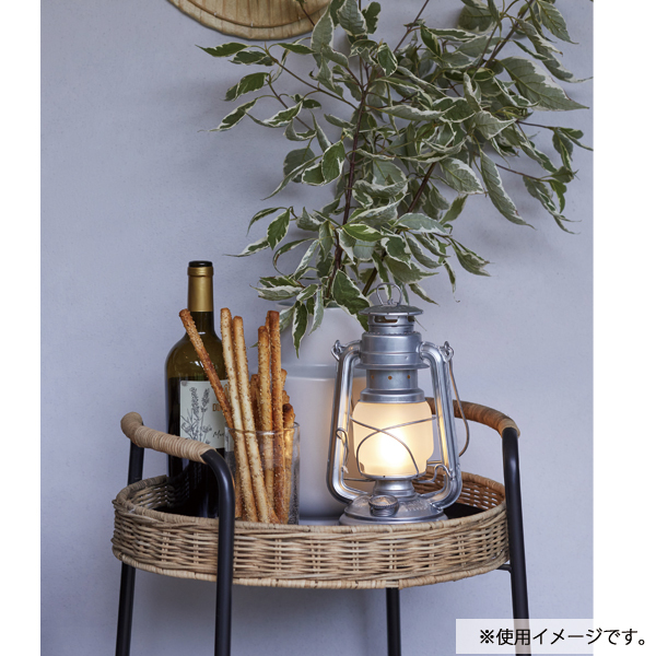 自然大好き！ニッチ・リッチ・キャッチ ナ ～ ハ 行 フュアハンド 充電