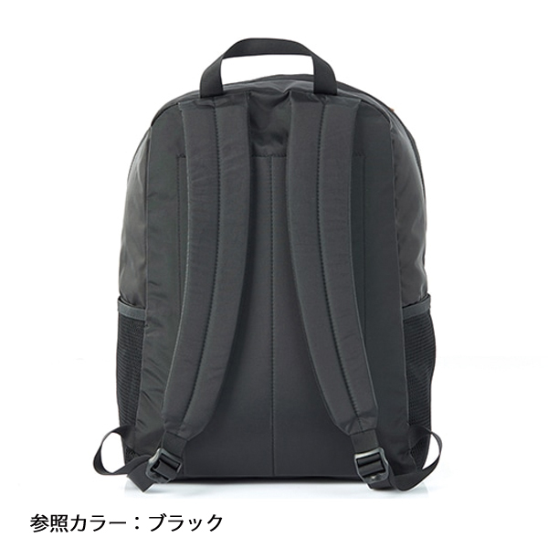 グレゴリー岡様　調整用出品 自然大好き！ニッチ・リッチ・キャッチ グレゴリー GREGORY