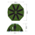 ACeC[W
