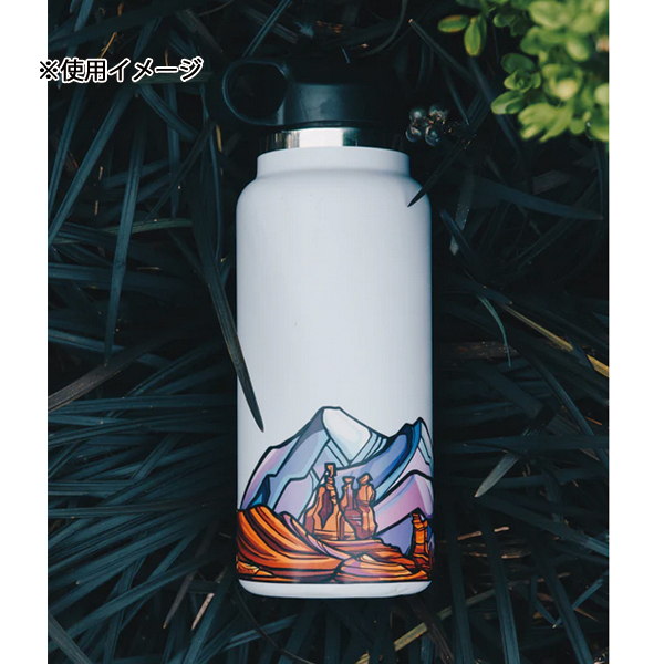 自然大好き！ニッチ・リッチ・キャッチ ナ ～ ハ 行 ハイドラスケープ