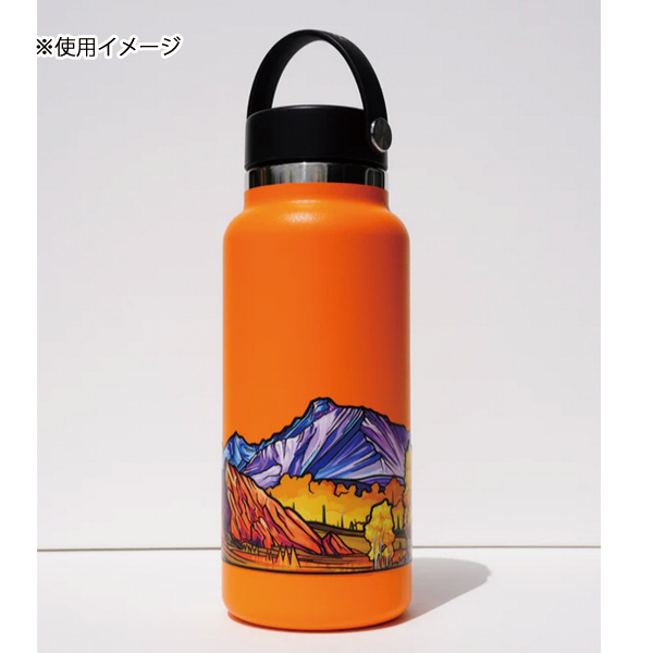 自然大好き！ニッチ・リッチ・キャッチ ナ ～ ハ 行 ハイドラ