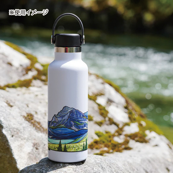 自然大好き！ニッチ・リッチ・キャッチ ナ ～ ハ 行 ハイドラスケープ