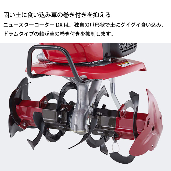 自然大好き！ニッチ・リッチ・キャッチ ホンダ HONDA ホンダ