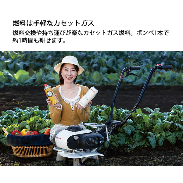 自然大好き！ニッチ・リッチ・キャッチ ホンダ HONDA ホンダ ガス