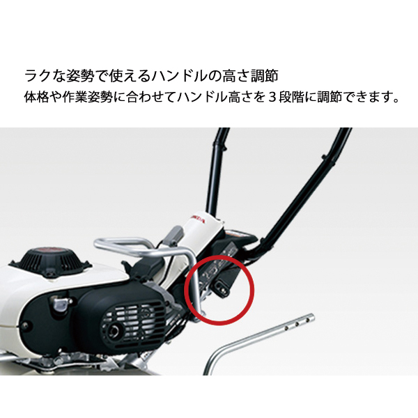 自然大好き！ニッチ・リッチ・キャッチ ホンダ HONDA ホンダ