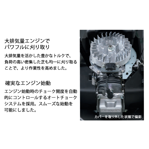 自然大好き！ニッチ・リッチ・キャッチ ホンダ HONDA ホンダ エンジン