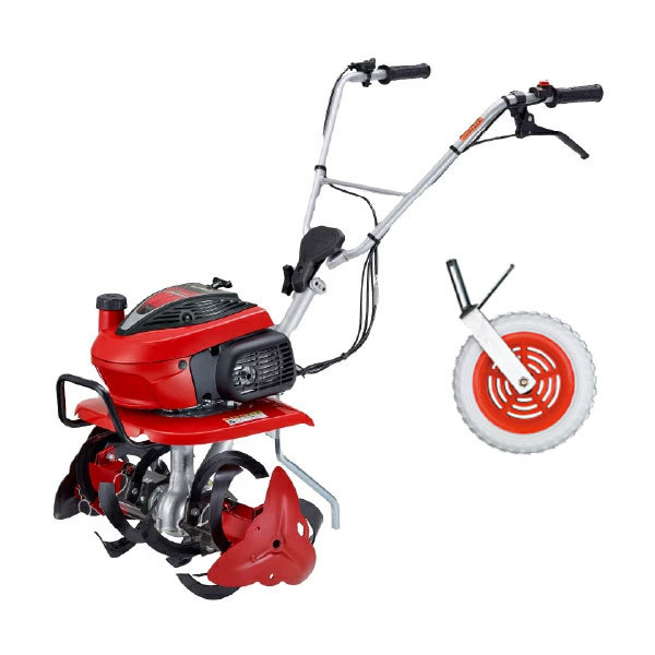 ���J���[�o���G�[�V����