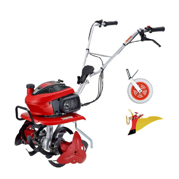 ���J���[�o���G�[�V����