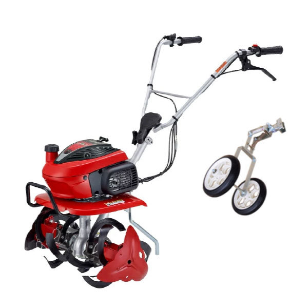 ���J���[�o���G�[�V����