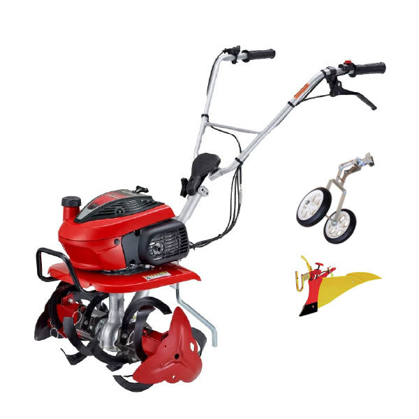 ���J���[�o���G�[�V����