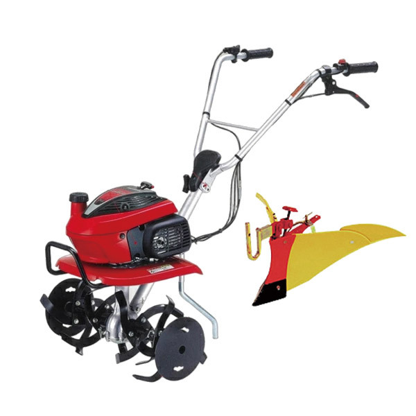 ���J���[�o���G�[�V����