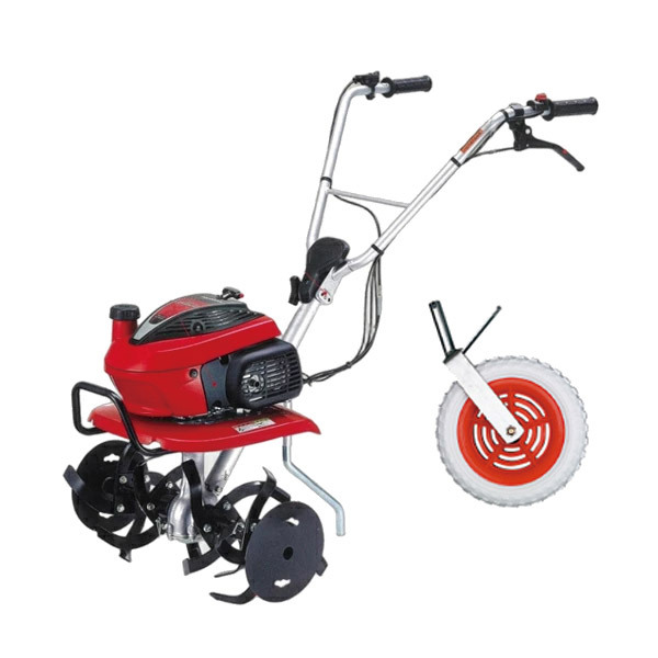 ���J���[�o���G�[�V����