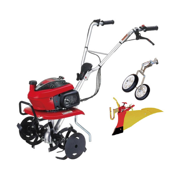 ���J���[�o���G�[�V����