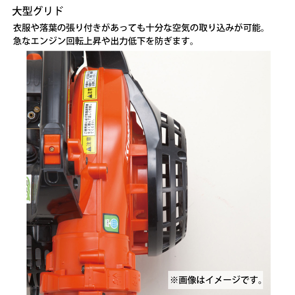 自然大好き！ニッチ・リッチ・キャッチ 共立 KIORITZ KIORITZ（共立 