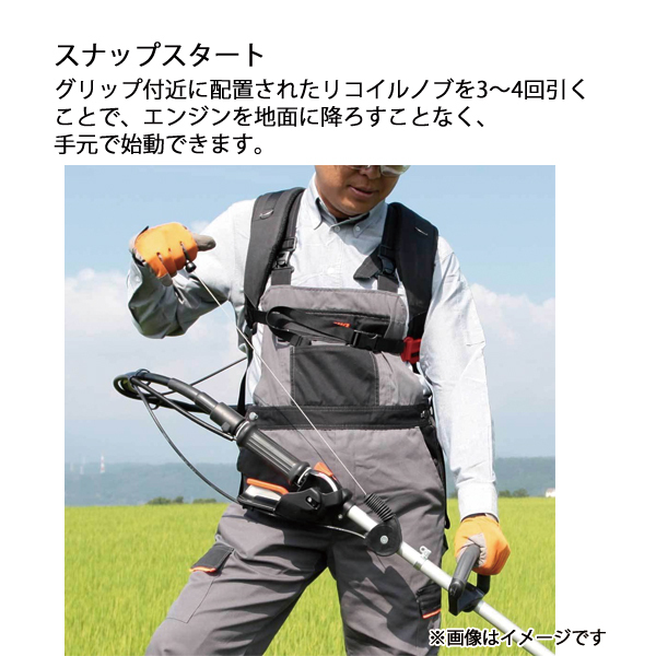 自然大好き!ニッチ・リッチ・キャッチ 共立 KIORITZ KIORITZ 自然大好き!ニッチ・リッチ・キャッチ 共立 KIORITZ KIORITZ