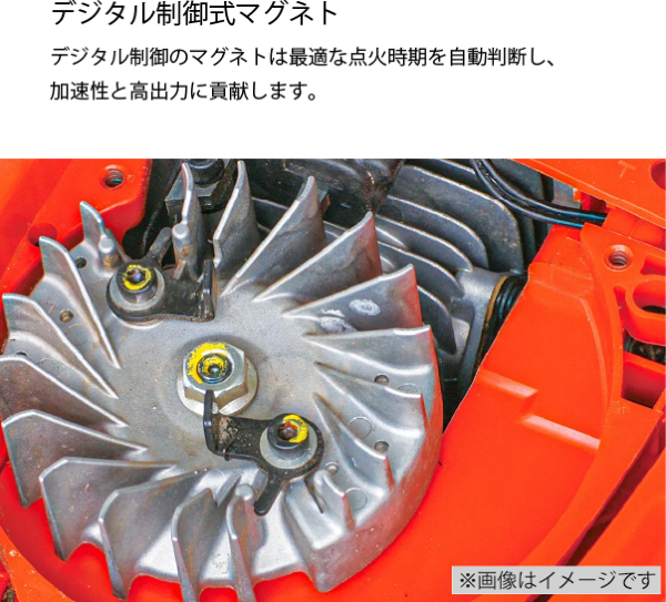 自然大好き！ニッチ・リッチ・キャッチ 共立 KIORITZ KIORITZ（共立