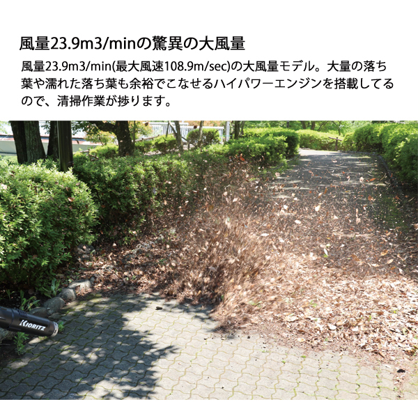 がりたろ プロフ必見 hqdefault.jpg