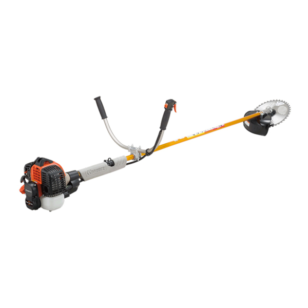 ���J���[�o���G�[�V����