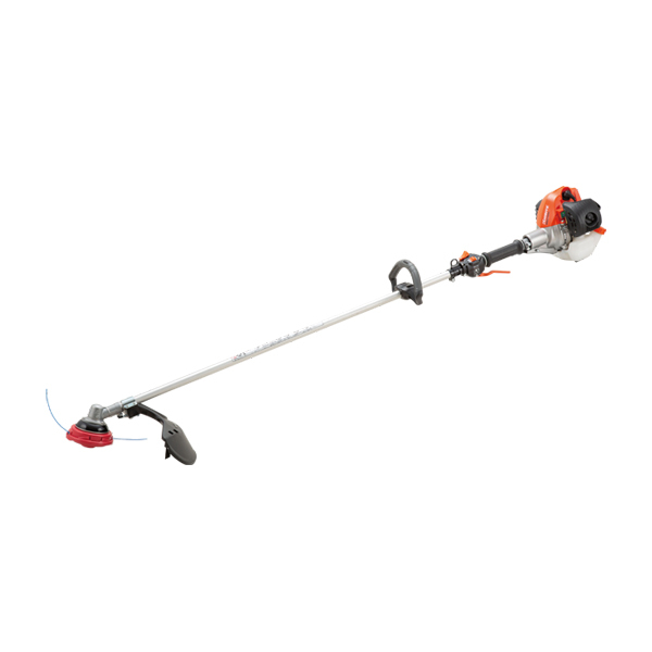 ���J���[�o���G�[�V����