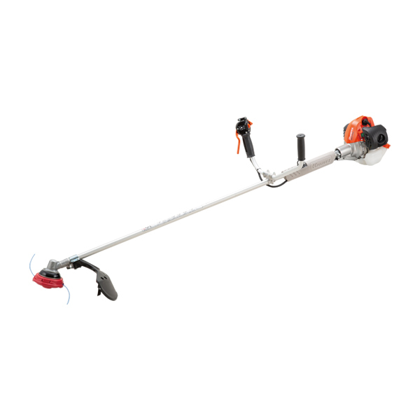 ���J���[�o���G�[�V����