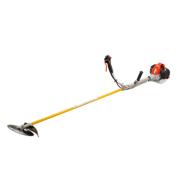 ���J���[�o���G�[�V����