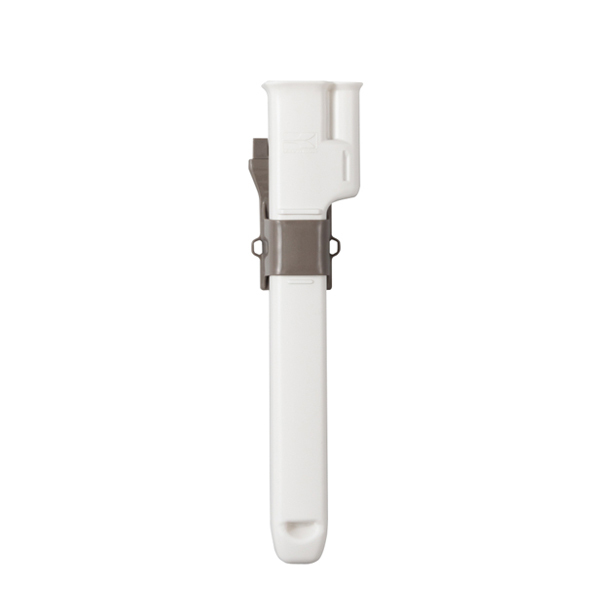 ���J���[�o���G�[�V����