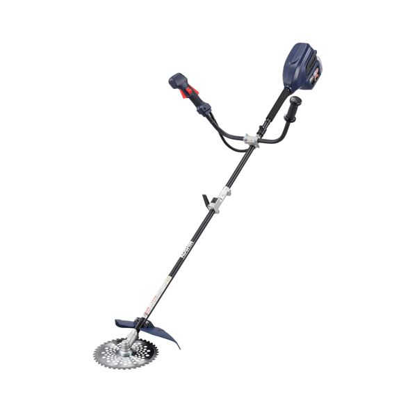 ���J���[�o���G�[�V����