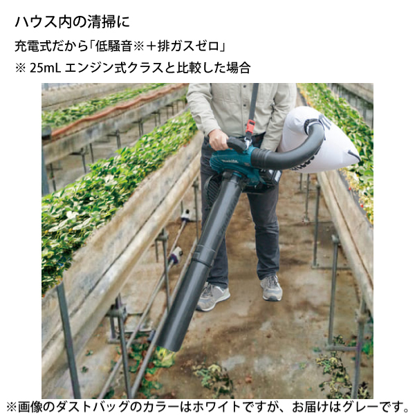 自然大好き！ニッチ・リッチ・キャッチ マキタ makita マキタ
