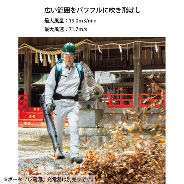 自然大好き!ニッチ・リッチ・キャッチ マキタ makita マキタ 自然大好き!ニッチ・リッチ・キャッチ マキタ makita マキタ