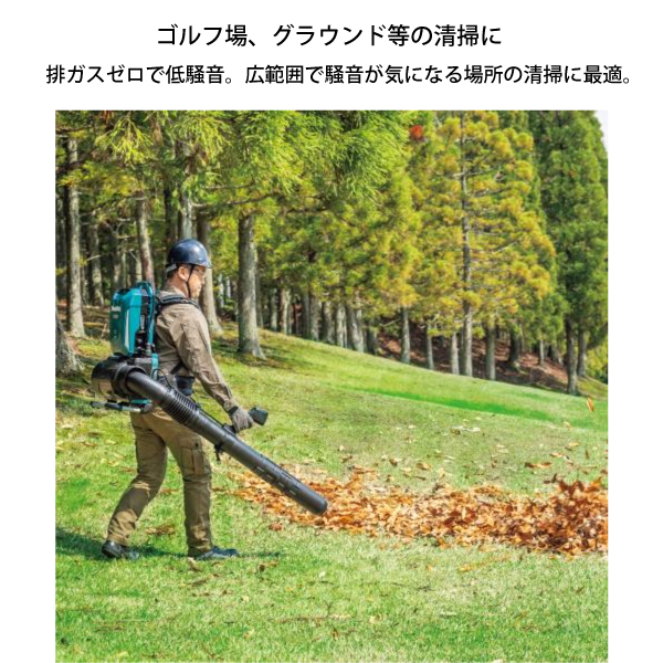 自然大好き!ニッチ・リッチ・キャッチ マキタ makita マキタ 自然大好き!ニッチ・リッチ・キャッチ マキタ makita マキタ