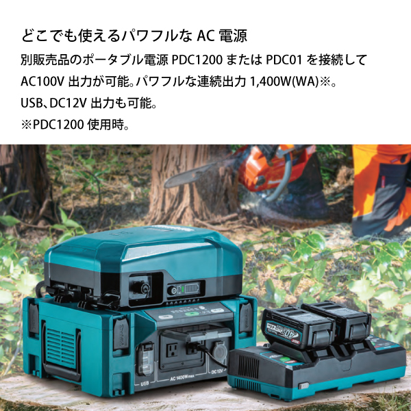 自然大好き！ニッチ・リッチ・キャッチ マキタ makita マキタ（makita） DCACインバータ 本体のみ BAC01