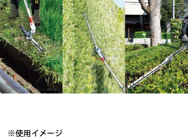 自然大好き！ニッチ・リッチ・キャッチ マキタ makita マキタ（makita