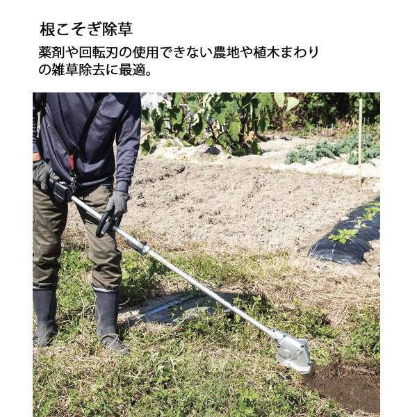 自然大好き！ニッチ・リッチ・キャッチ マキタ makita マキタ（makita