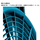 ACeC[W