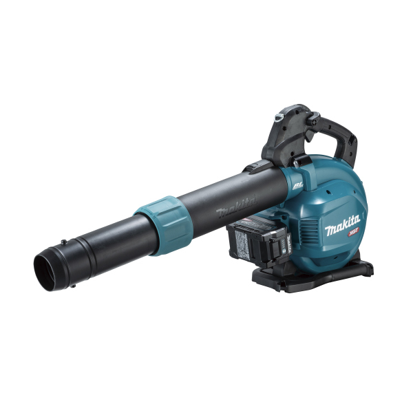 ���J���[�o���G�[�V����