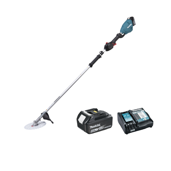 ���J���[�o���G�[�V����