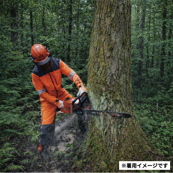 自然大好き！ニッチ・リッチ・キャッチ 保護具 新ダイワ マルチ