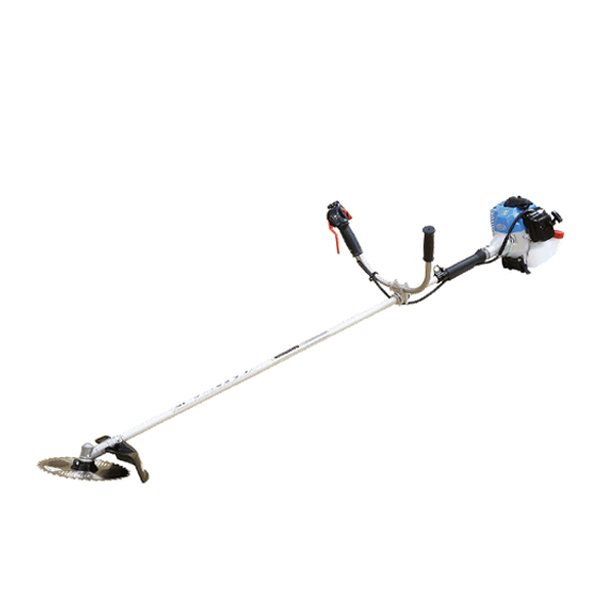 ���J���[�o���G�[�V����