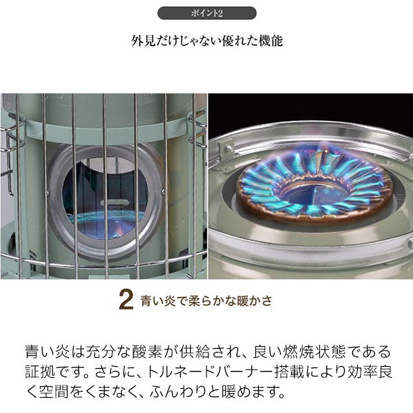 自然大好き！ニッチ・リッチ・キャッチ アラジン Aladdin センゴク