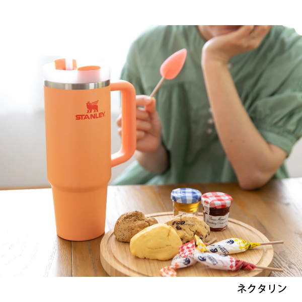 自然大好き！ニッチ・リッチ・キャッチ スタンレー STANLEY 【セール