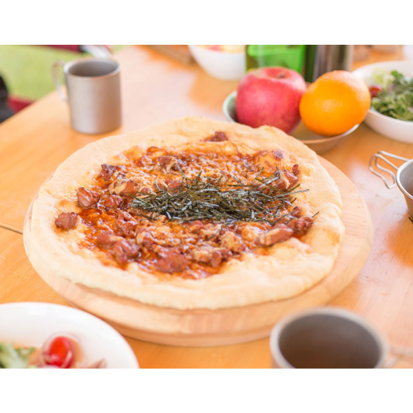 スノーピーク】パーティプレート バッグ付き snow peak スノーピーク