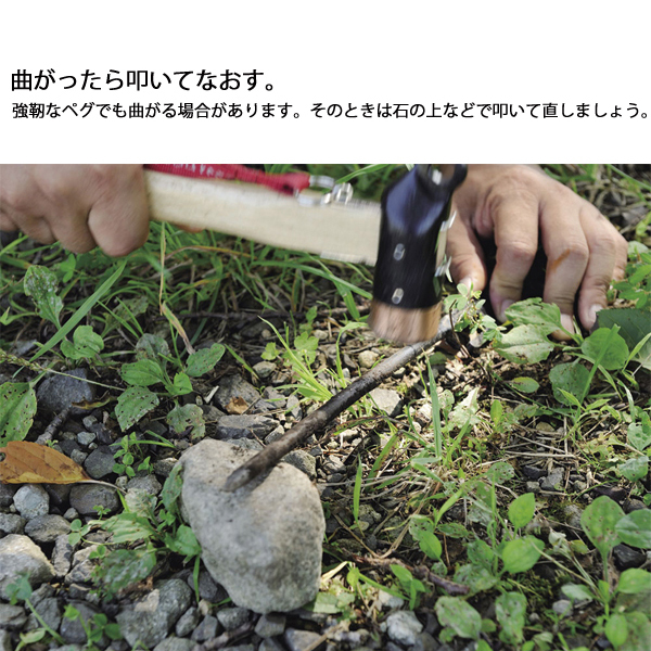 自然大好き！ニッチ・リッチ・キャッチ タープ スノーピーク タープ